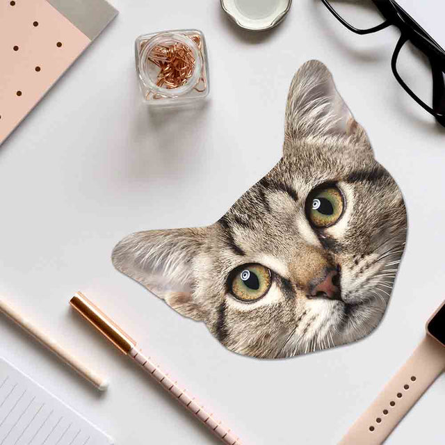 Cat Microfiber Cloth on desk