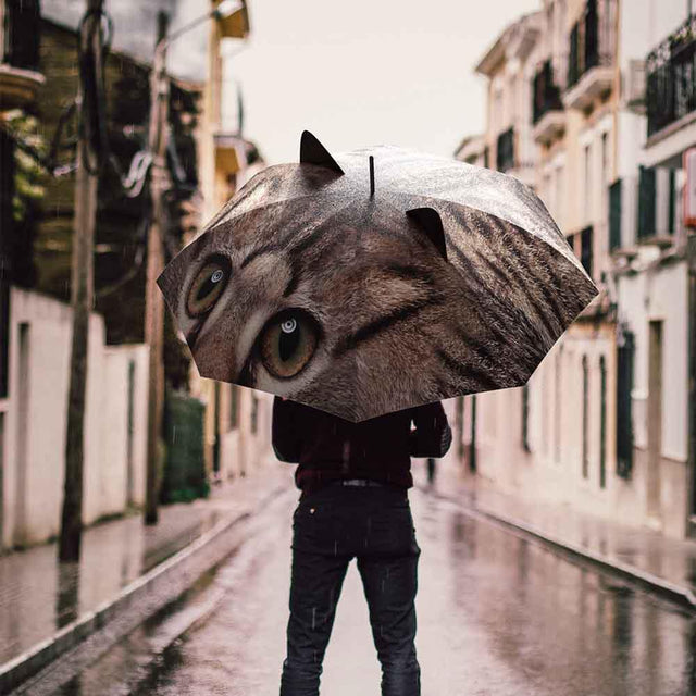 Man holding cat umbrella in small street while raining